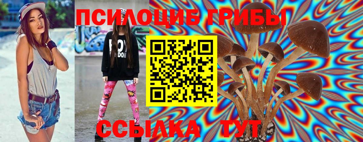 Гуково  Псилоцибиновые грибы Psilocybine cubensis  Вход с VPN 